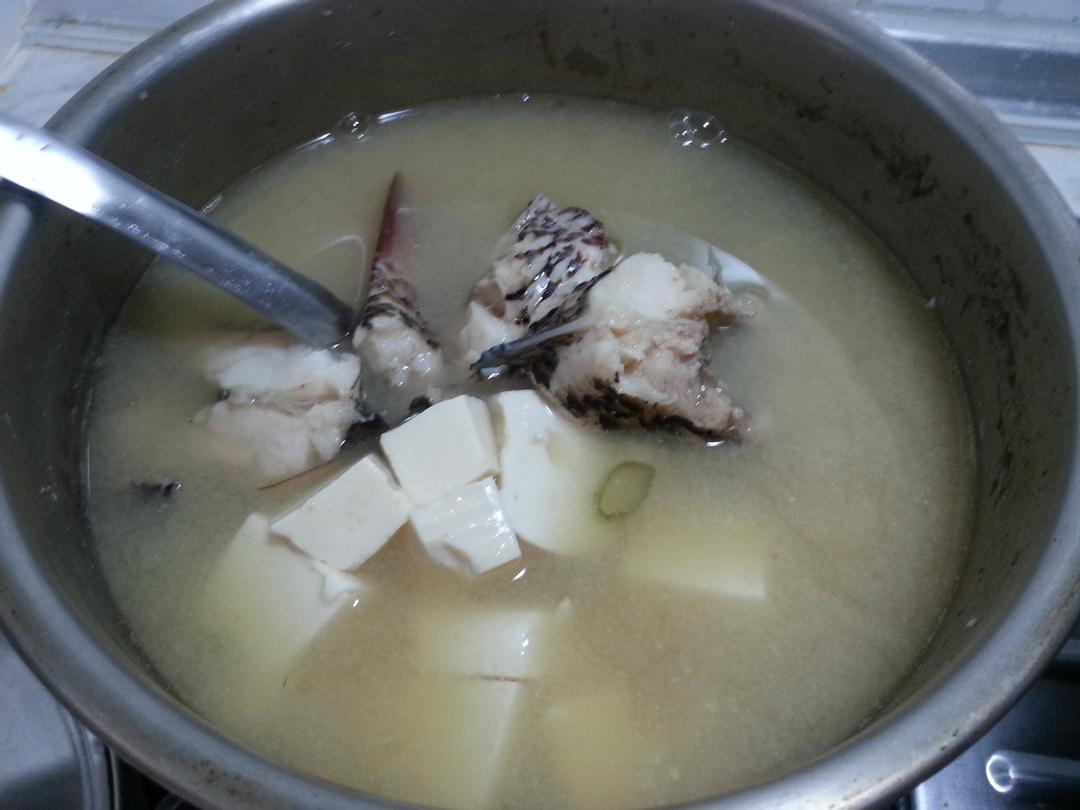 豆腐味噌魚湯 : 貓貓錦齡 一起做