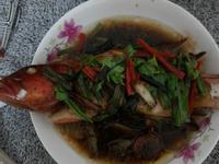 宴席料理-清蒸紅條魚