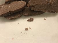 無麩質餅乾-巧克力餅(椰子麵粉/免烘烤)