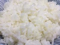 油亮白米飯