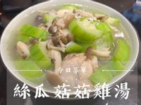 今日菜單-絲瓜菇菇雞湯
