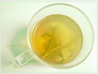 Mimi♥檸檬馬鞭草甜葉菊綠茶