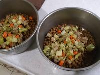 狗料理-蔬菜牛肉湯